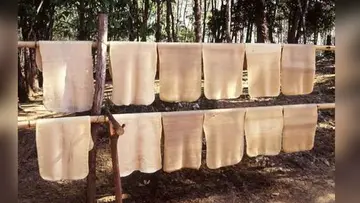 Rubber Price 