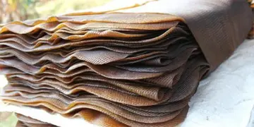 trump effect rubber price down