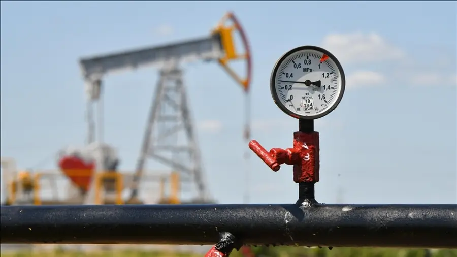 crude oil