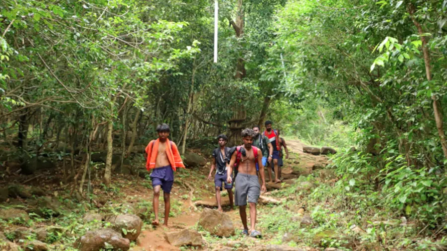 sabarimala kananapatha
