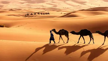 sahara