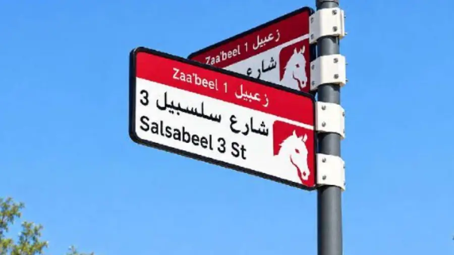 salsabeel