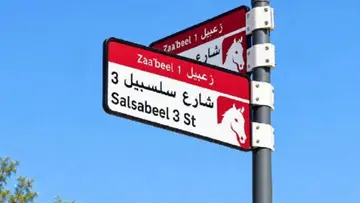salsabeel