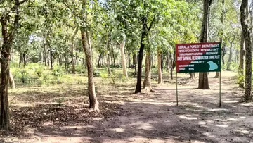 Sandal Wood 
