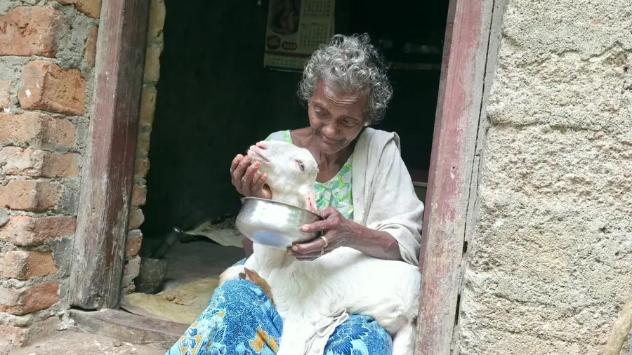 santhamma manikkutty