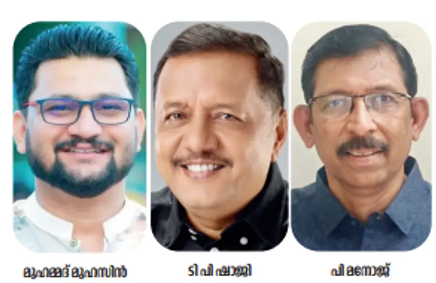 പട്ടാമ്പി മണ്ഡലം