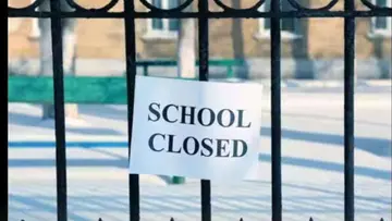 schools