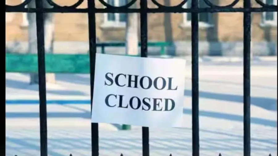 schools