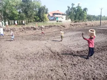 kaarshikamekhala