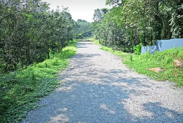 kaanjirappalli baipaas