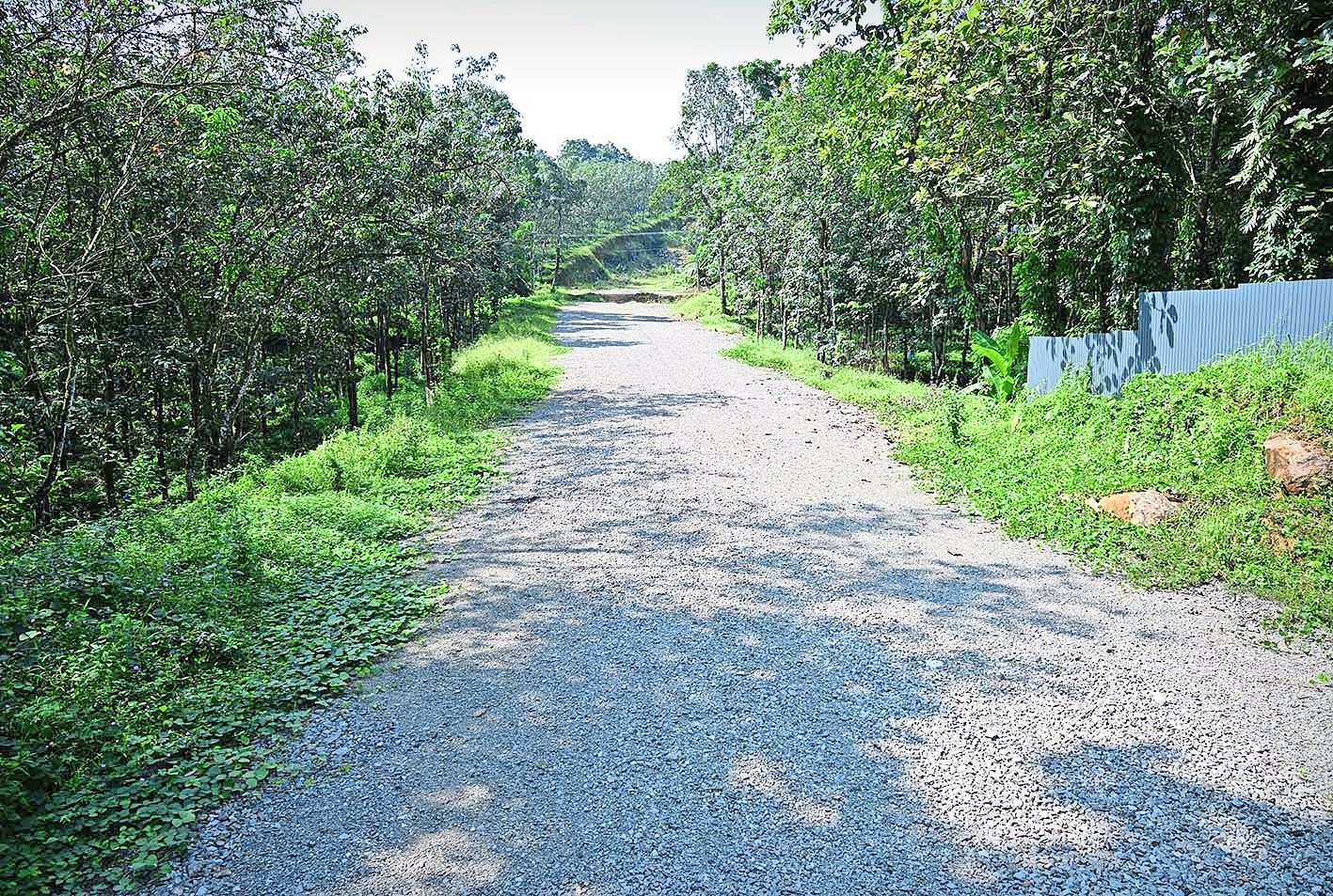 kaanjirappalli baipaas