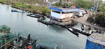 ആനാപ്പുഴയോരത്ത് വഞ്ചികൾ കെട്ടിയിട്ട നിലയിൽ
