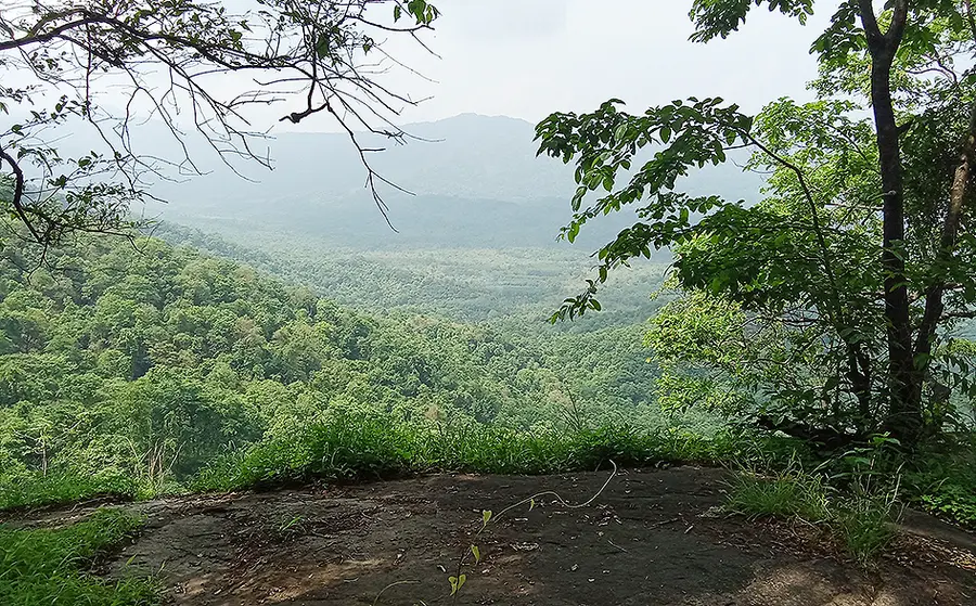 makkuvalliyilum manayathadathum
