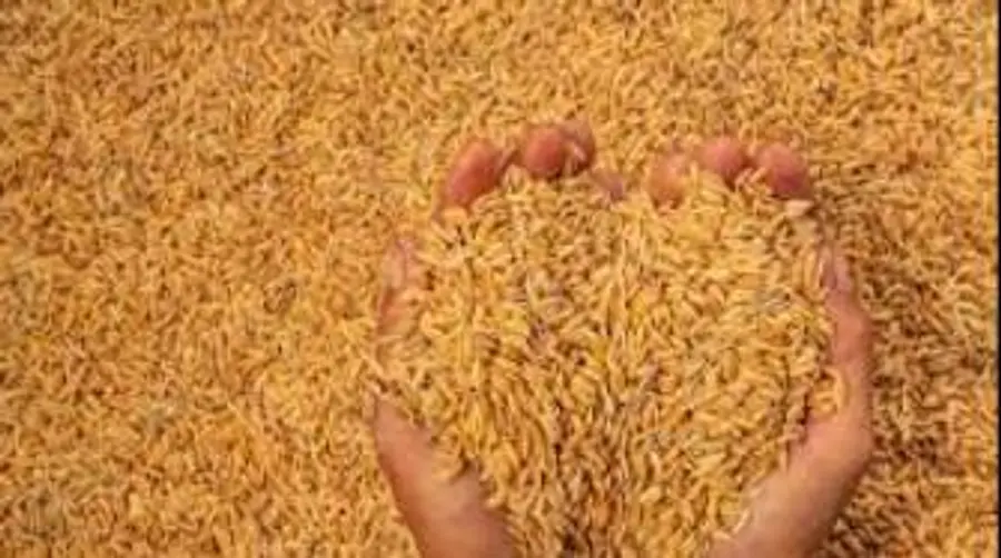 nellusambharanam