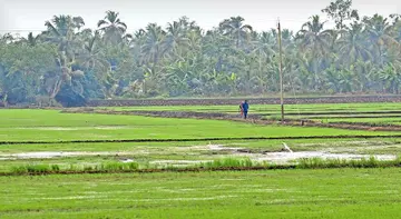 karshakarude pratheekshakal