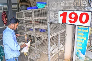 muttaykkum kuthane vila koodi