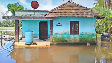 vellakkettu parihaarikkanaaku