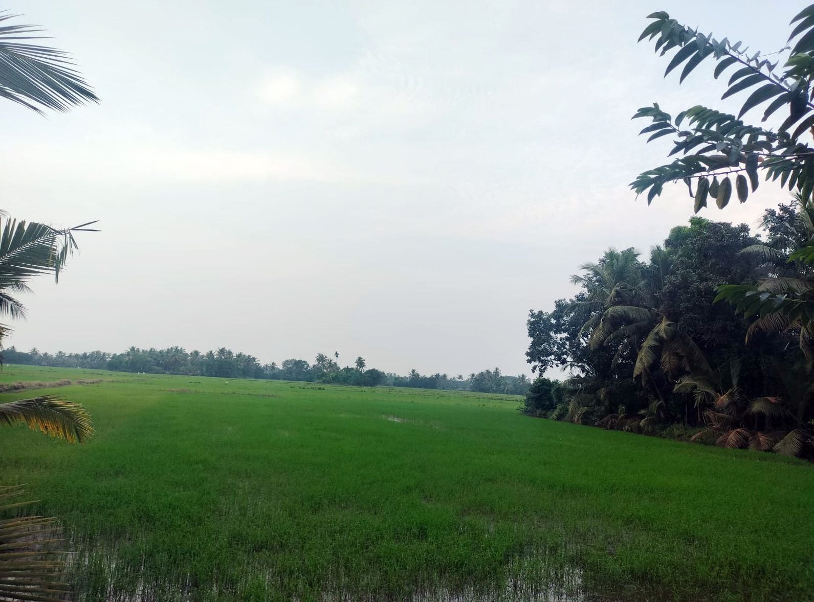 karshakarodu avaganana