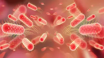 Fever and diarrheal diseases are increasing.