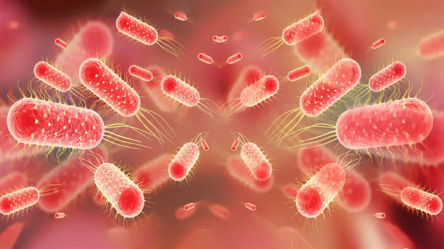 Fever and diarrheal diseases are increasing.