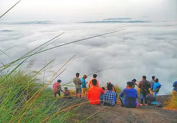 manjuveena pularikal