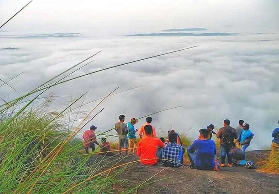 manjuveena pularikal