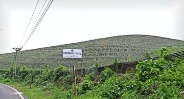 sabarimala greenfield vimaanathaavalam