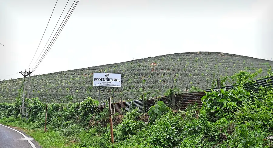 sabarimala greenfield vimaanathaavalam