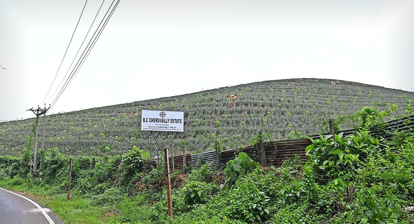 sabarimala greenfield vimaanathaavalam