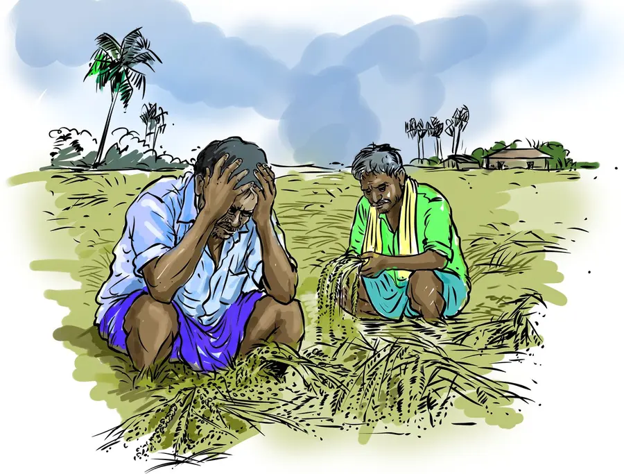 nelkrishi
