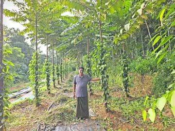 thiruthiyezhuthiya pareekshanam
