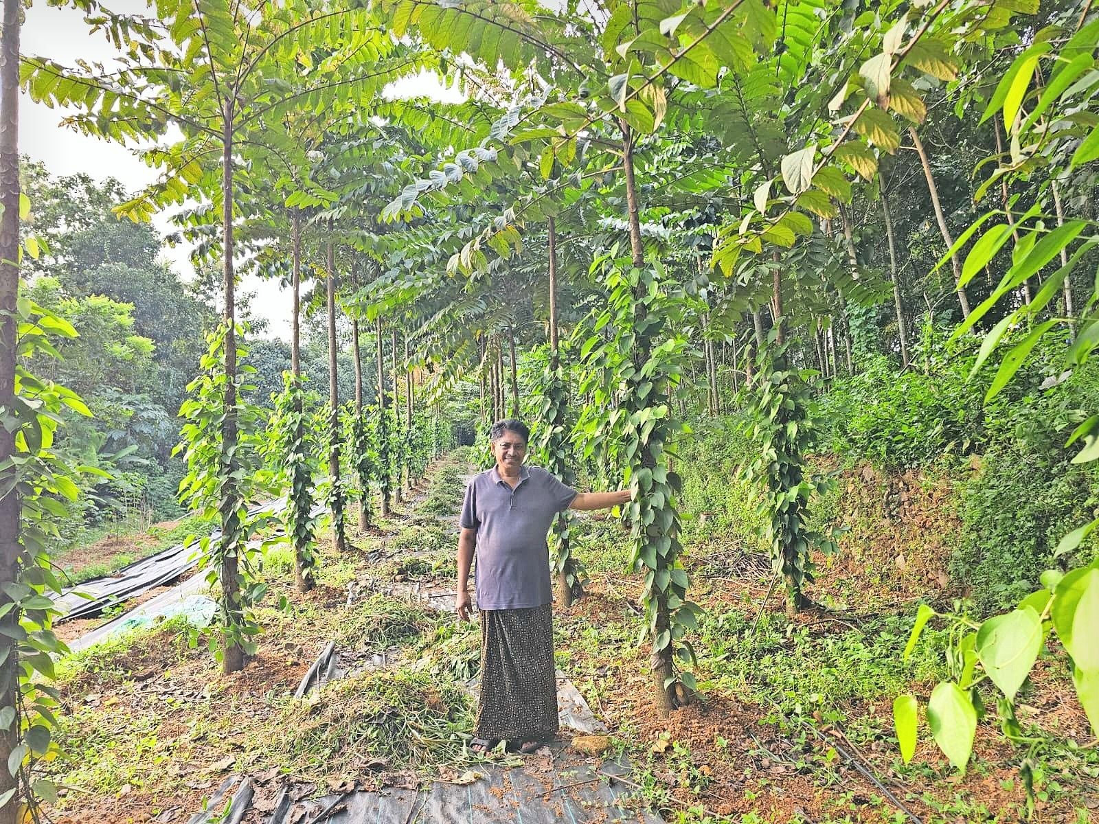 thiruthiyezhuthiya pareekshanam