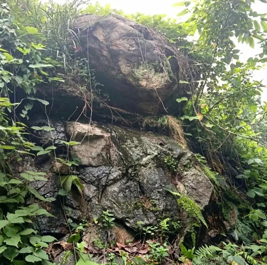 koottan paarakkallukal