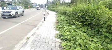 nadappaatha