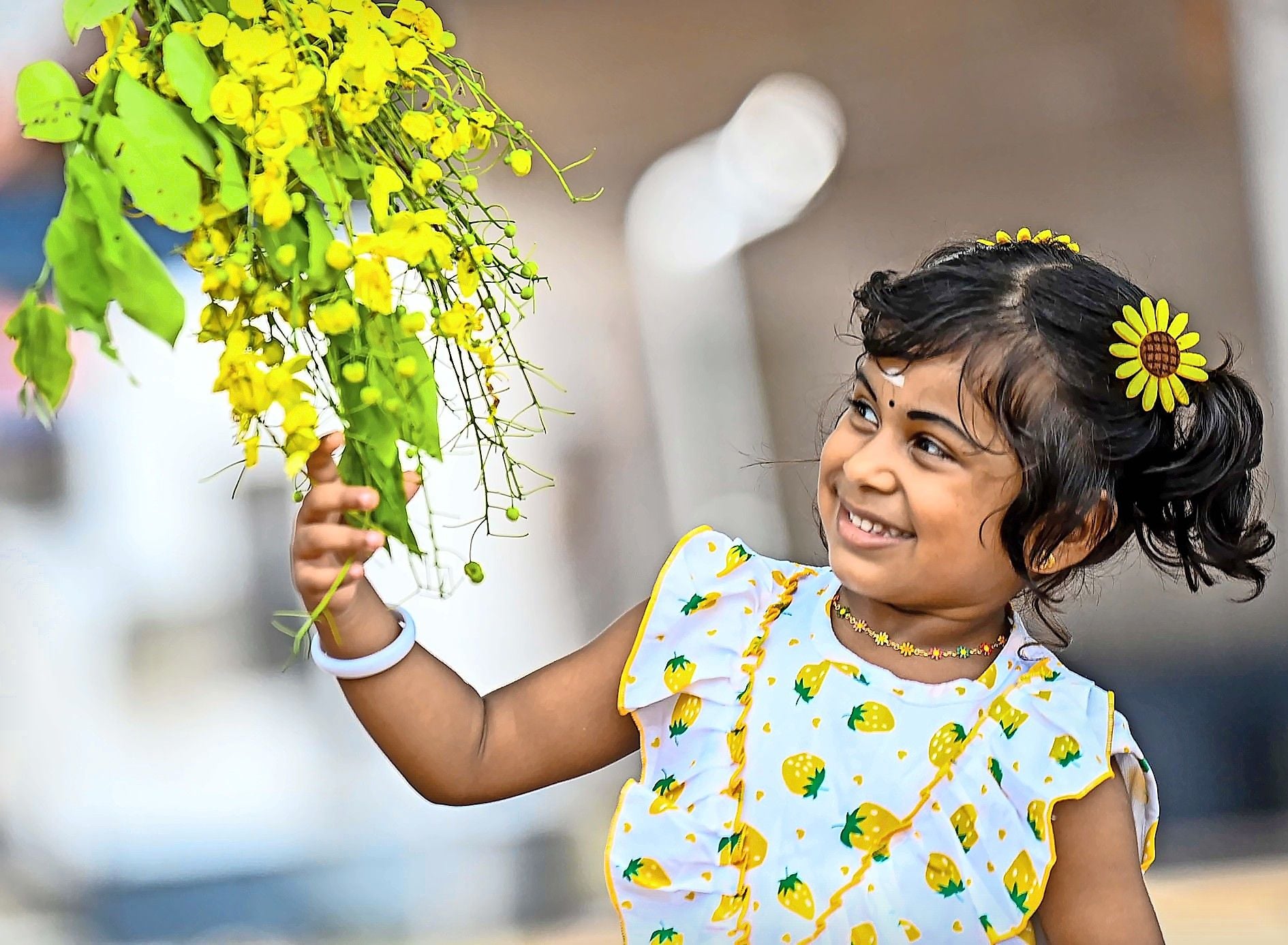 vishu