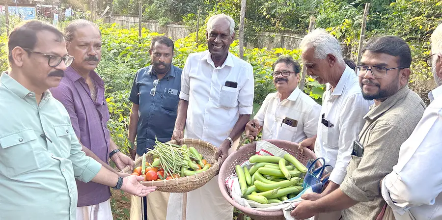 കേരള കര്‍ഷക സംഘം കാടുകുറ്റി നോര്‍ത്ത് മേഖല കമ്മിറ്റിയുടെ പച്ചക്കറി കൃഷി വിളവെടുപ്പ് കര്‍ഷക സംഘം ജില്ലാ ട്രഷറര്‍ ടി എ രാമകൃഷ്ണന്‍ ഉദ്ഘാടനം ചെയ്യുന്നു