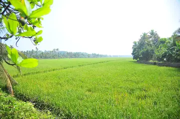 nelvila vitharanam