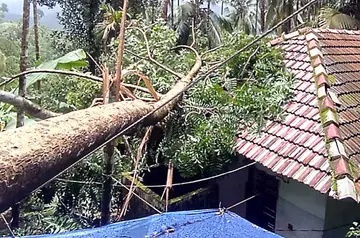 ആവുള്ളക്കോട്ടെ ബാലകൃഷ്ണന്റെ വീടിന് മുകളിൽ മരം വീണ നിലയിൽ