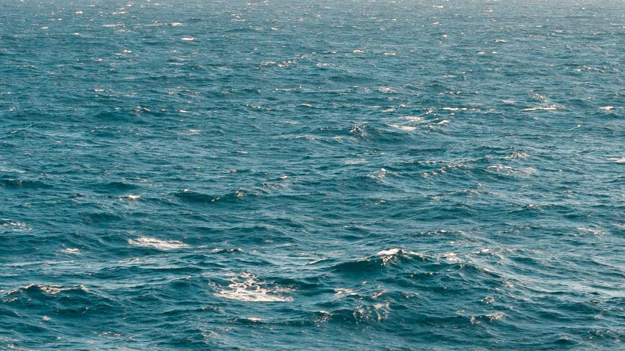 sea