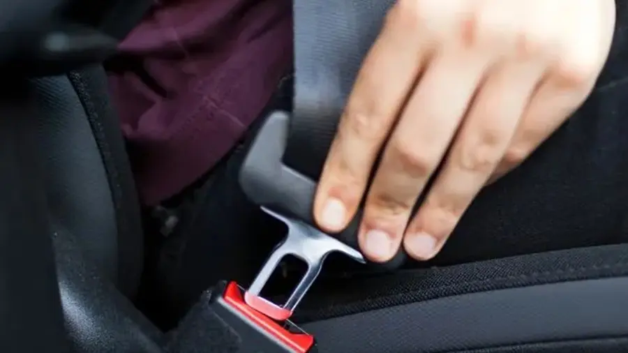 Seat Belt