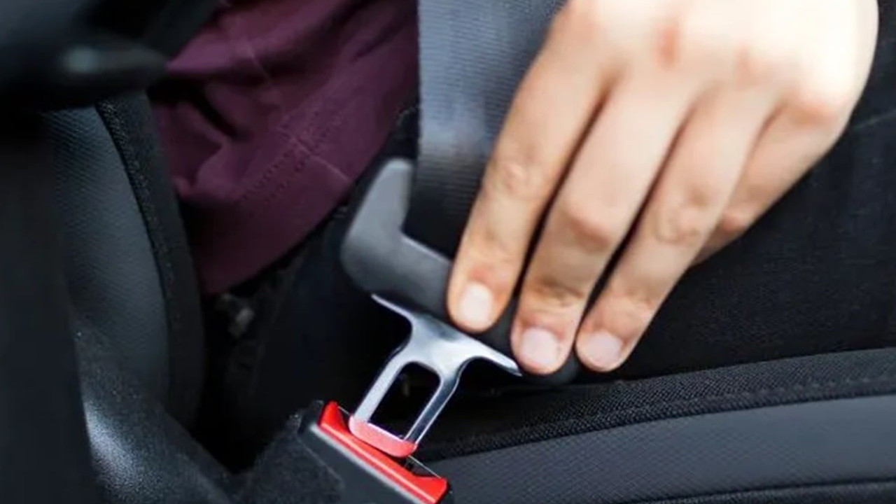 Seat Belt 