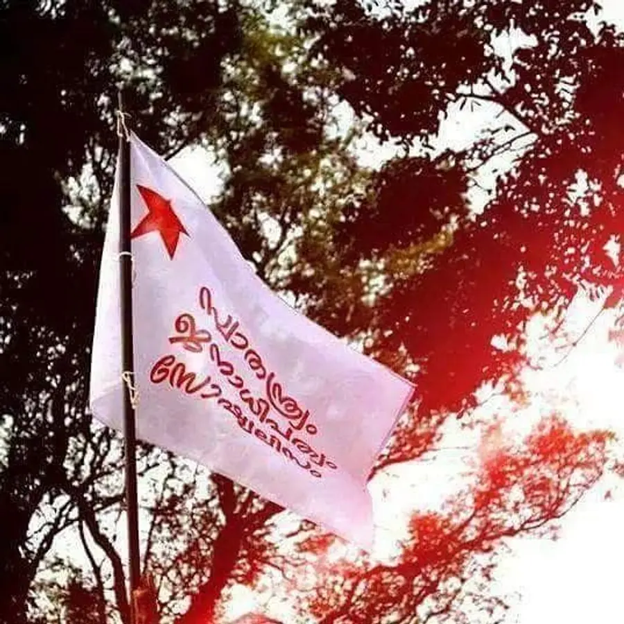 sfi