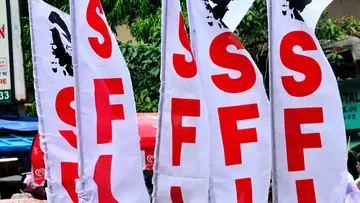 sfi flag