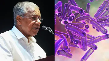 Shigella