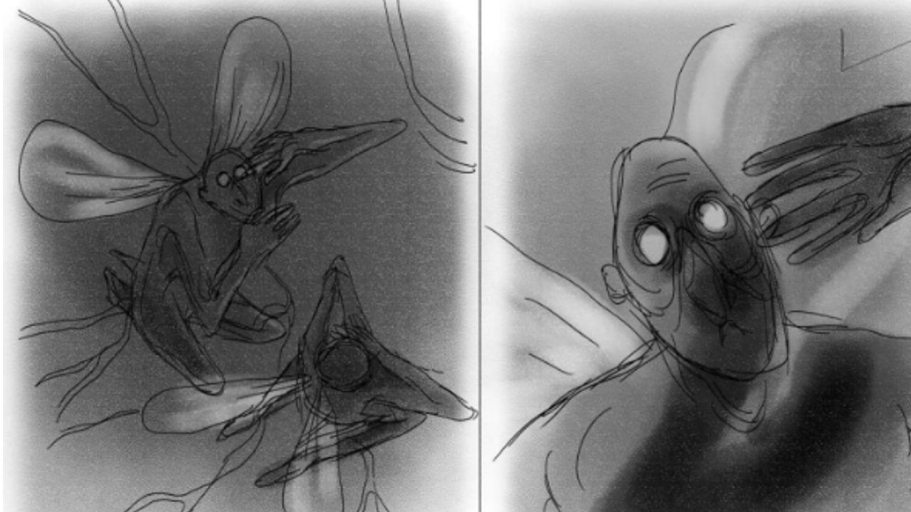 signature film sketch