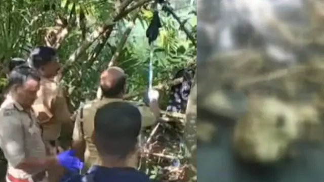 skeleton found