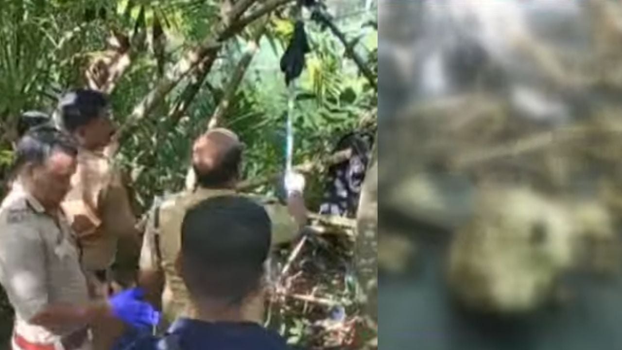 skeleton found