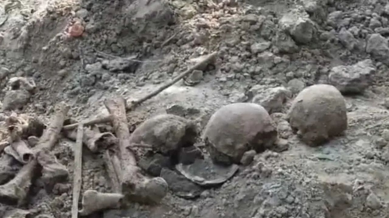 skelton