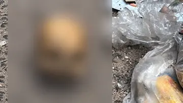 Skull found