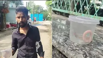 Snake Bite 